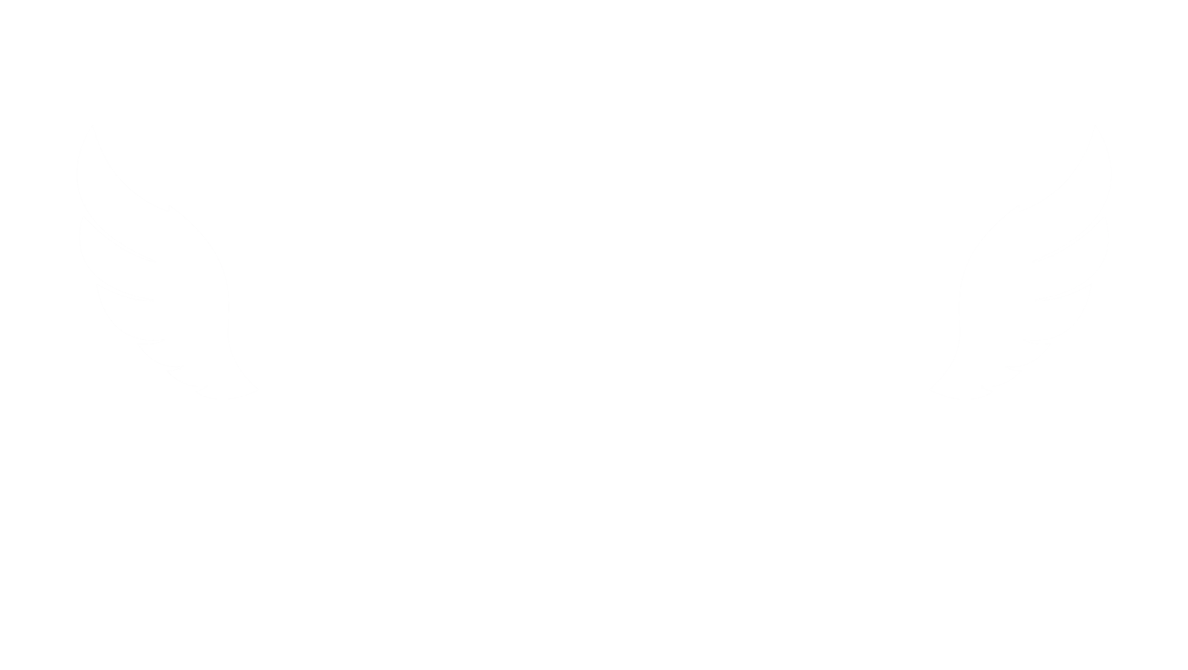 logo VIKA KROL