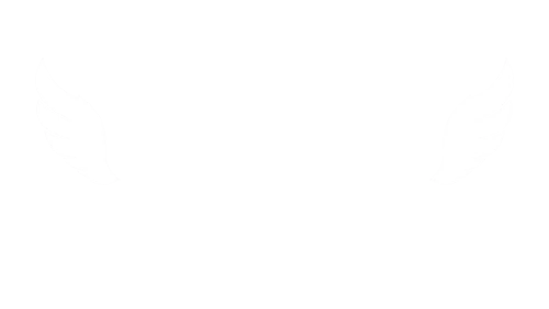 logo VIKA KROL